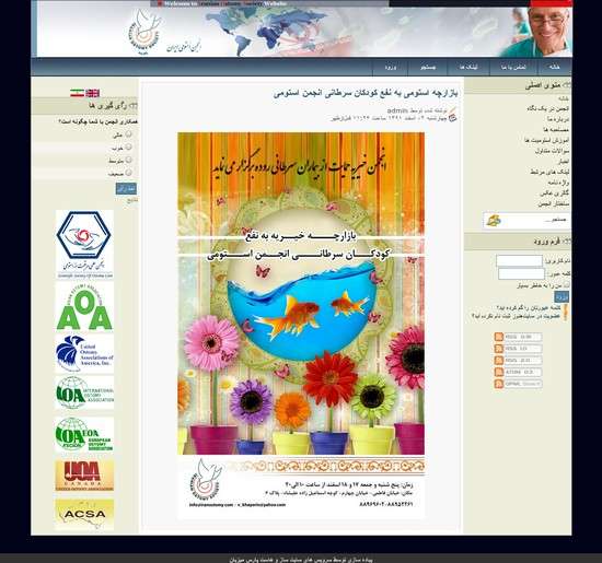 نمونه کار طراحی سایت ایران استومی